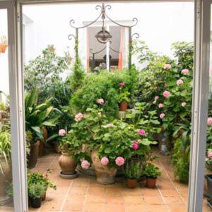 Apartment Alexia - Atolon - Port de Pollença